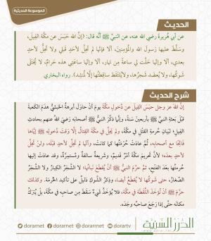 حبس عن مكة الفيل